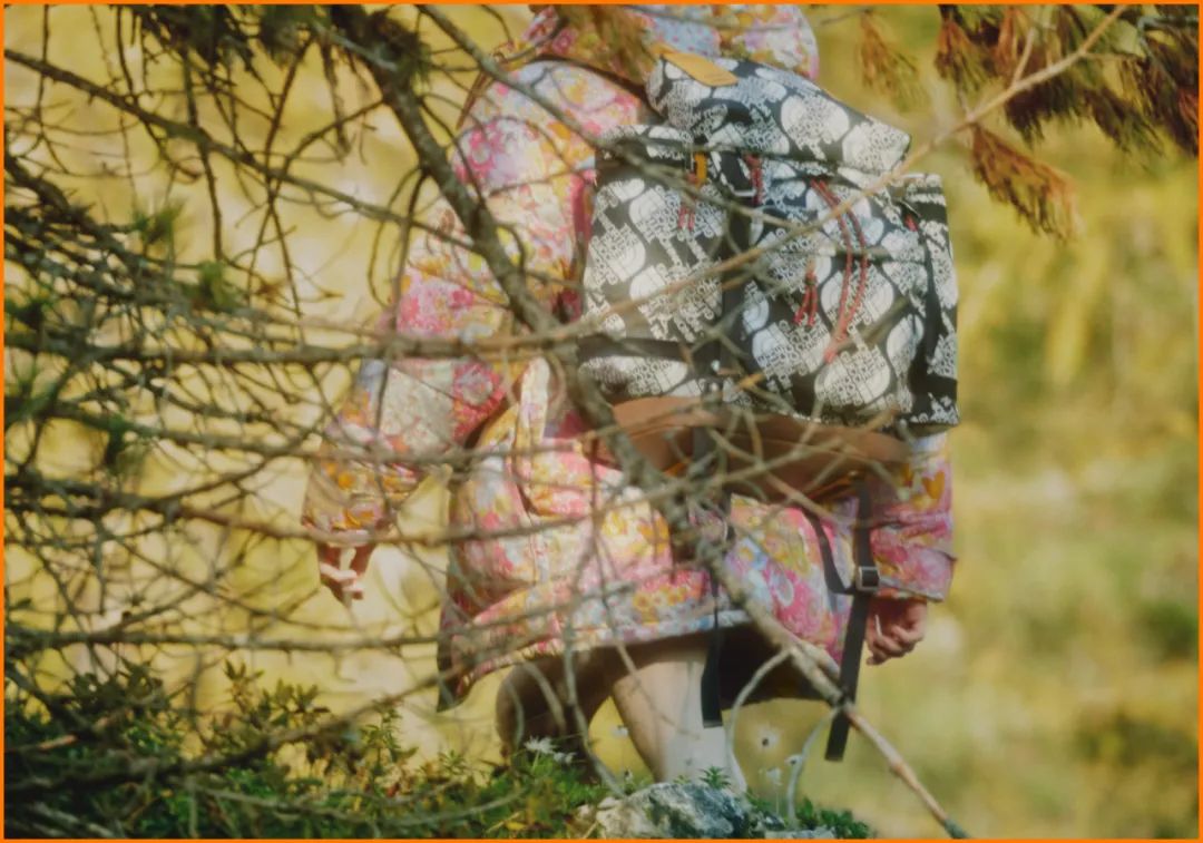 为什么现在满大街都是北面羽绒服,为啥满大街都是北面