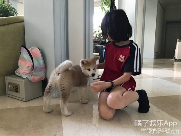 董洁向太,董洁和向太