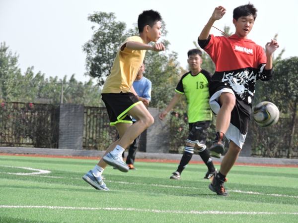 什邡师古新时代,什邡市师古镇初中