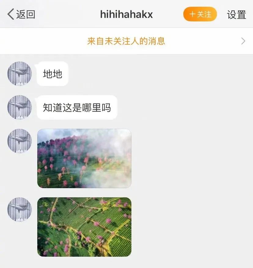 测一测你成为学霸的几率是多少,测一下你是学霸还是学渣的题