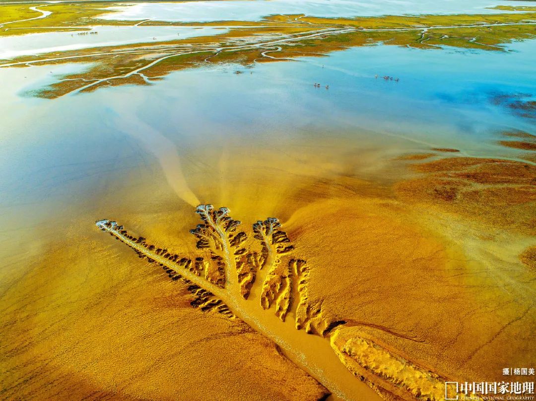 测一测你成为学霸的几率是多少,测一下你是学霸还是学渣的题