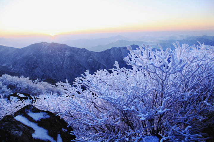 浙江民宿“泼水成冰”视频火了！本周气温乍暖将还寒，你会去打卡吗