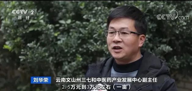 今日文山三七跌了吗,文山三七第一次价格暴涨是哪年