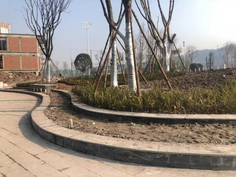 高家坝足球公园,达州高家坝足球公园