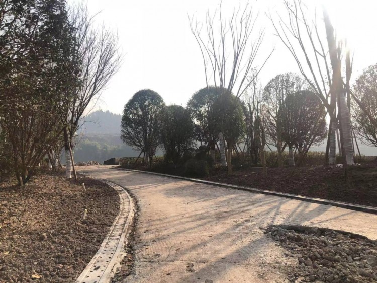 达州高家坝足球公园,高家坝足球公园足球场对外开放吗