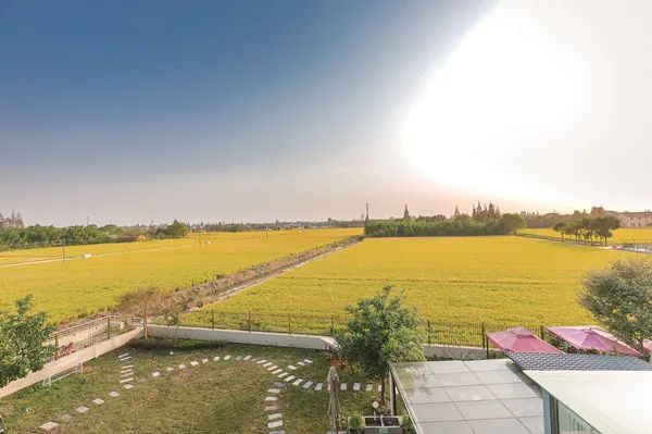 魔都著名网红公寓,上海魔都民宿附近好玩的