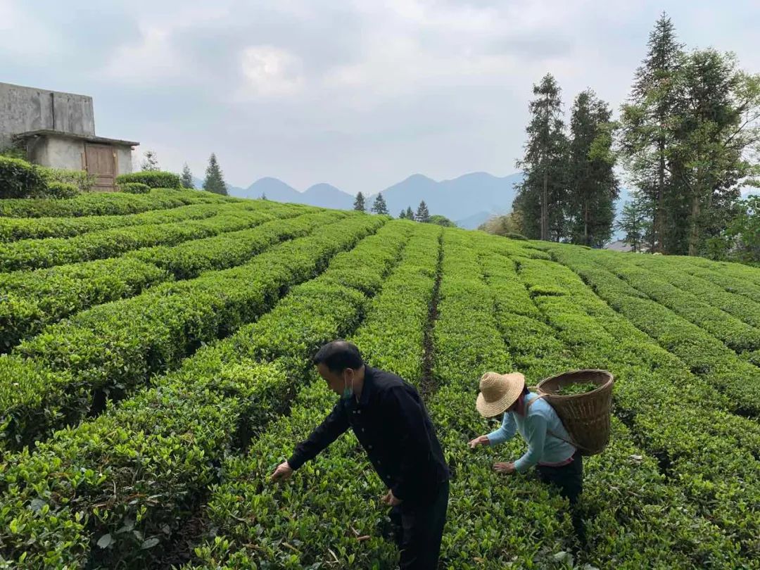 大战大考中攻坚克难,大战大考重点项目
