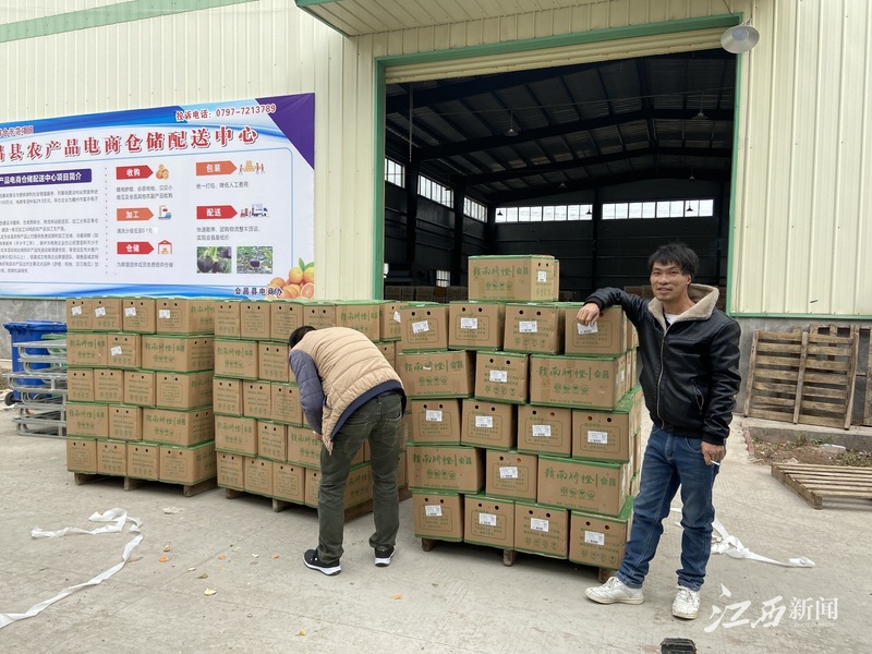 会昌鲜丰脐橙园,会昌橙果园