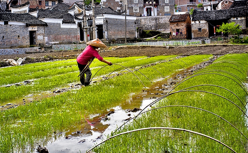 鑰佷竵涓撴爮,鏂板钩鑰佷竵
