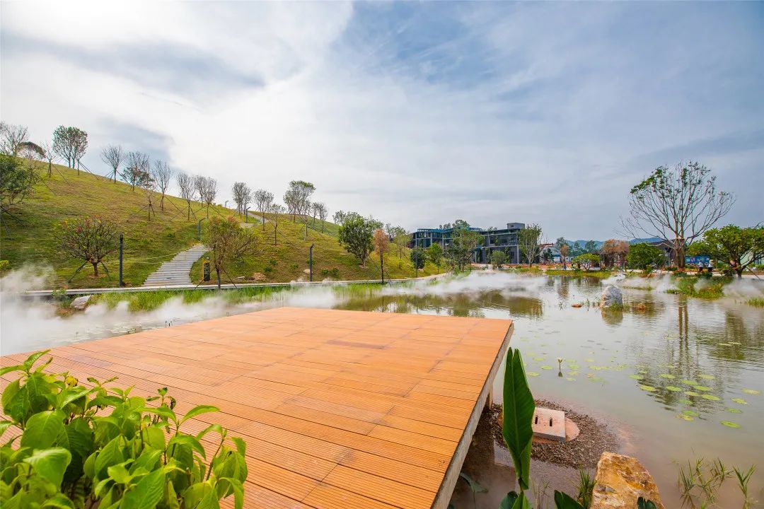 [春节留深]龙华游园攻略之民治街道篇