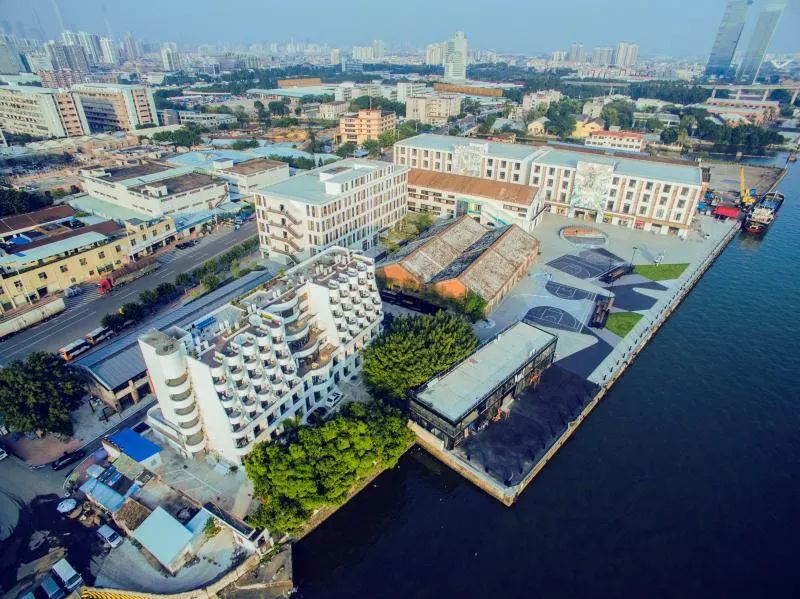 花城政能量丨有干货!海珠区这么做,村民经济效益大提升