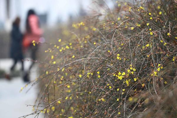 为何今年农历两个立春,为什么明年是双立春