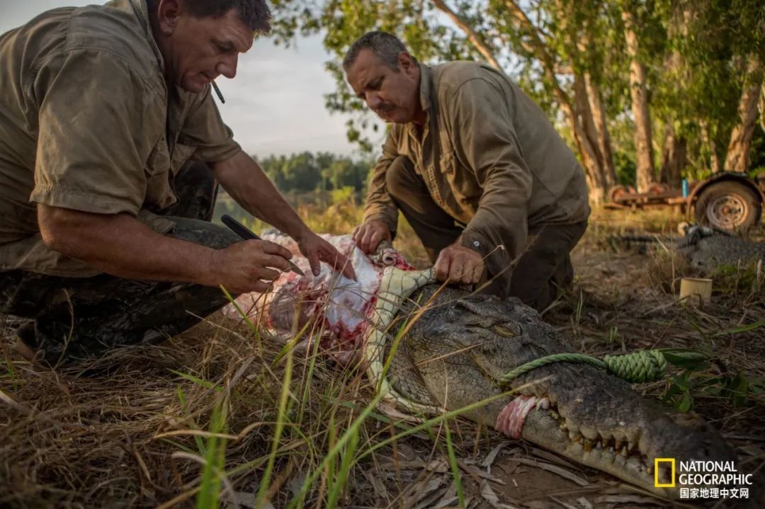 槌勯奔鑱屼笟鐚庝汉,槌勯奔鐚庝汉骞磋柂