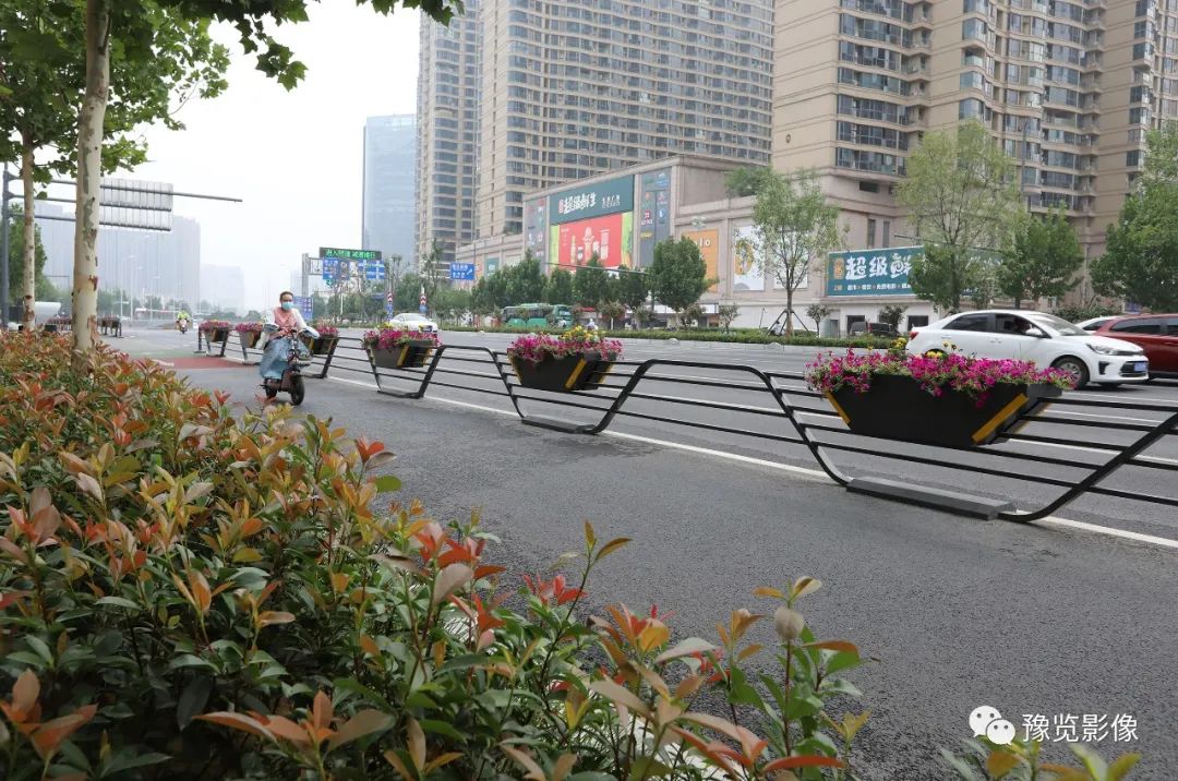 在郑州，遇见美好——刘絮|影像纪年2020（38）