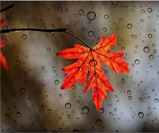 春节广东出发外省旅游攻略,春节旅游攻略提前看