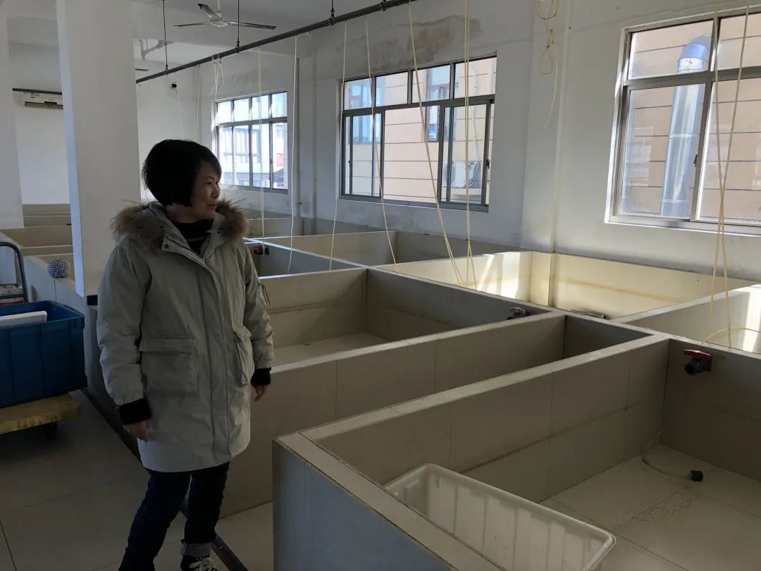 蟹贩的利润,蟹贩子利润