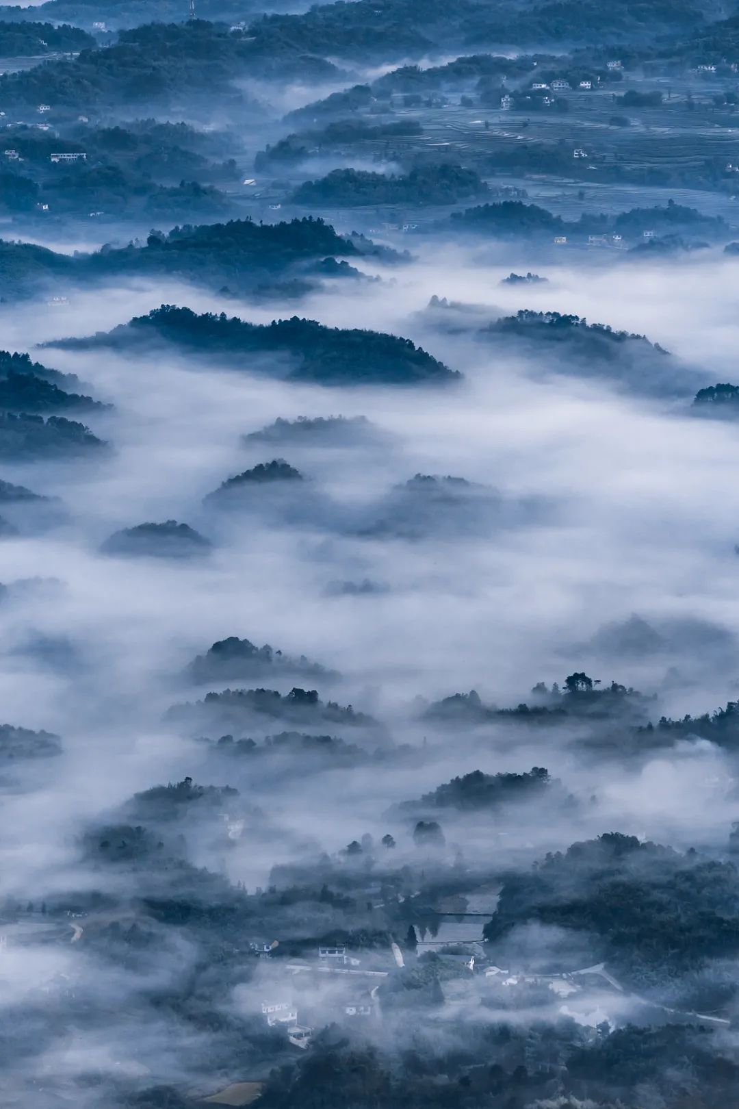 雨水随风润物细无声,随风潜入夜润物细无声老师