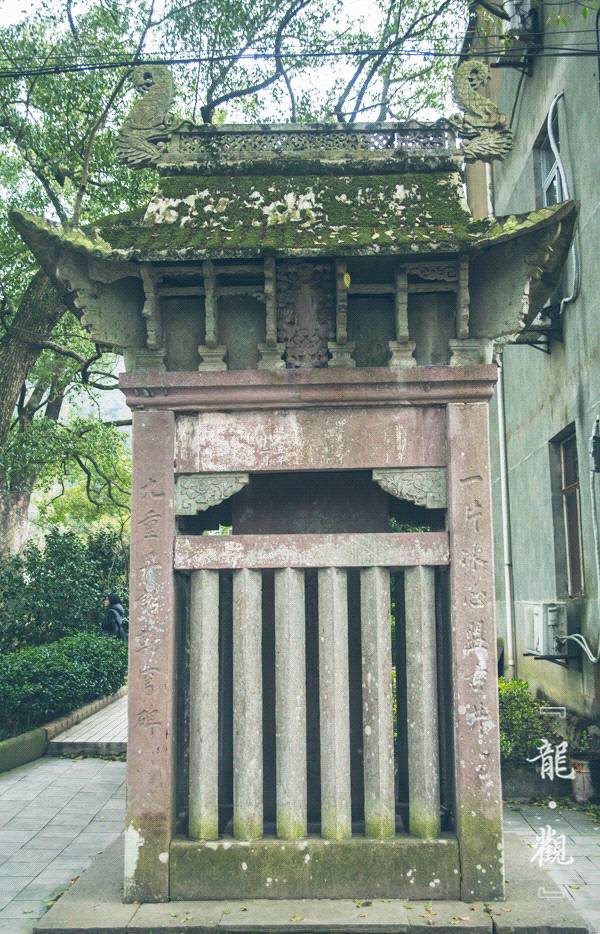 瀵诲勾鍛宠繋榫欏勾鎵撳崱娲诲姩,瀵诲勾鍛冲搧骞村懗鎰熷彈