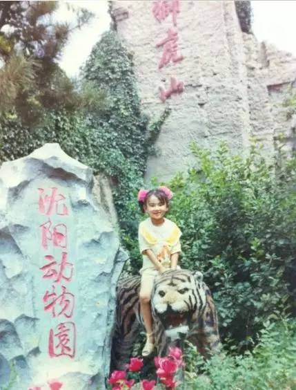 原来2013年已经是十年前了图片,原来1999年已经是20年前了