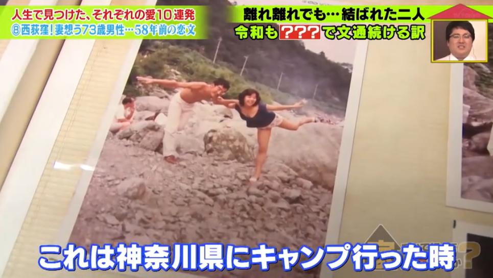 在泳池一见钟情，为妻子毅然辞职，这是一段持续58年来自日本的神仙狗粮…