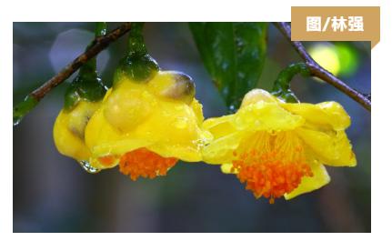 防城旅游攻略景点大全,防城港周围旅游景点古村