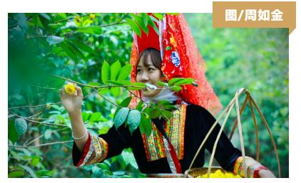 防城旅游攻略景点大全,防城港周围旅游景点古村