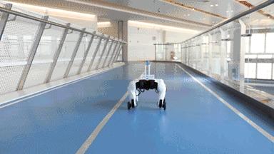 腾讯自研机器狗！叫板波士顿动力？