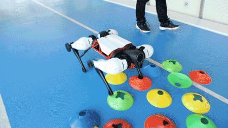 腾讯自研机器狗！叫板波士顿动力？