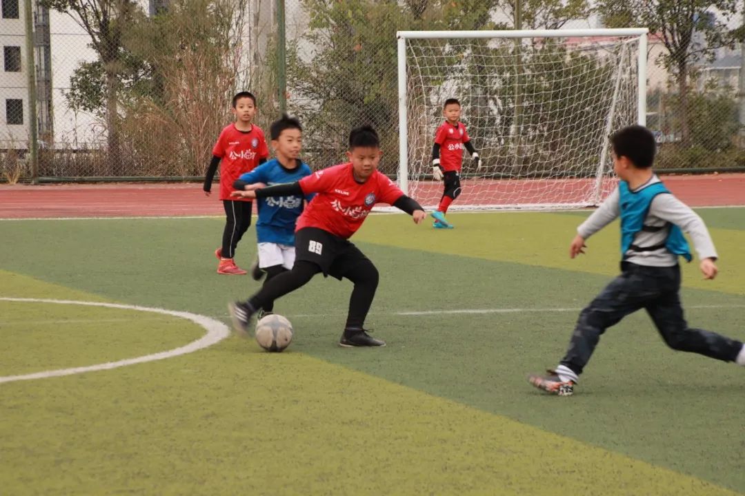 柳州融合教育,体教融合工作实施方案