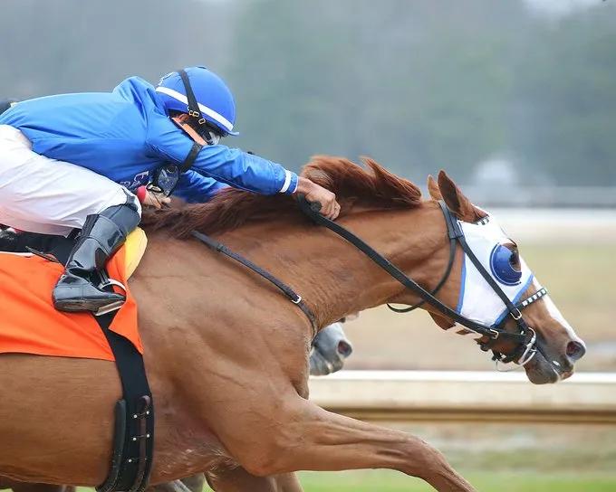 迪拜世界杯小组赛,迪拜世界杯战胜阿根廷