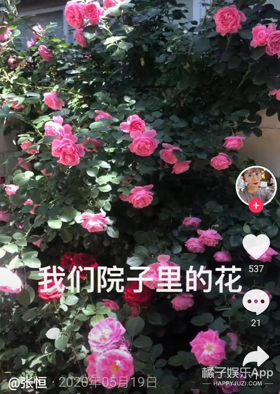 还珠格格第一部赵薇版塞娅公主,还珠格格塞娅公主对比