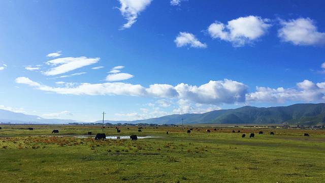 云南7日自由行最全攻略,云南8日自由行攻略