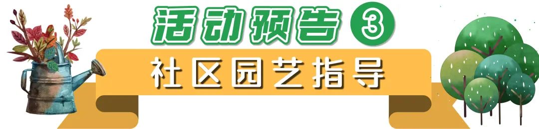 园·灵丨春风十里，不及一抹绿意，植树节系列活动来袭