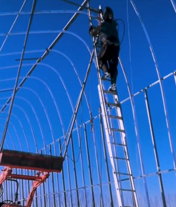 北大学生回国种菜,一位北大毕业生在加拿大种菜