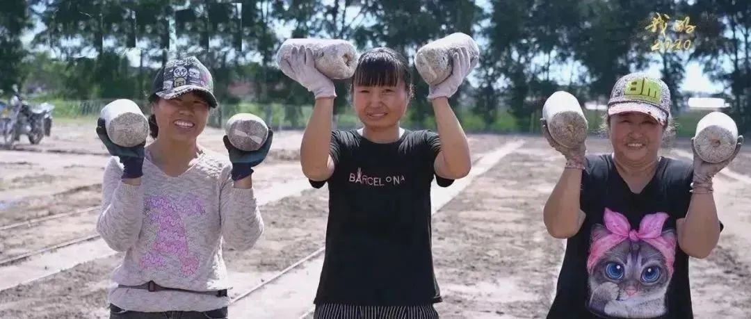 做孩子们的“圆梦人”!看上海师大、西安科大、青海师大的扶贫故事|教育脱贫攻坚微视频接力㉖