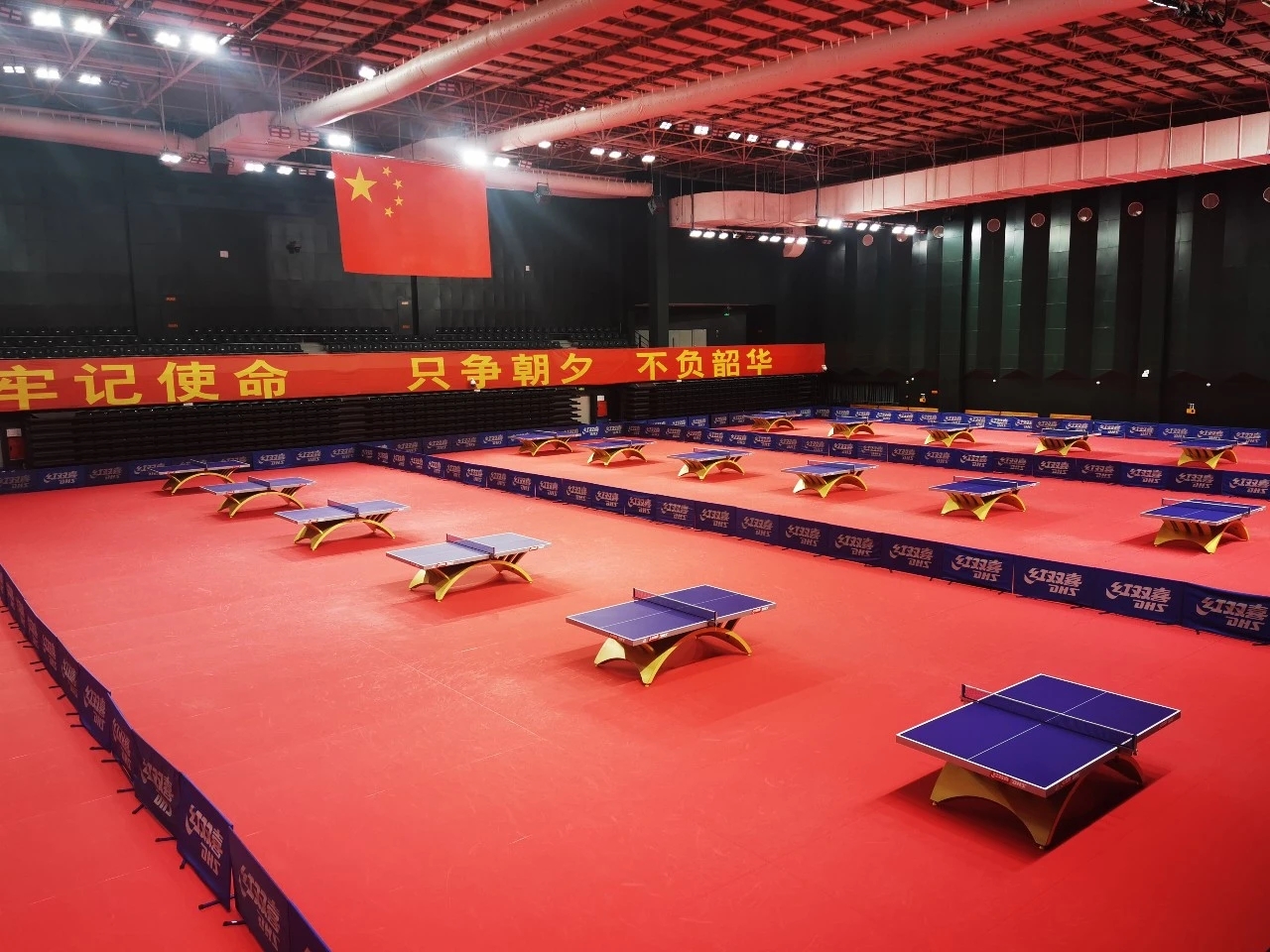 马龙刘诗雯出席活动,全运会乒乓球马龙找刘诗雯