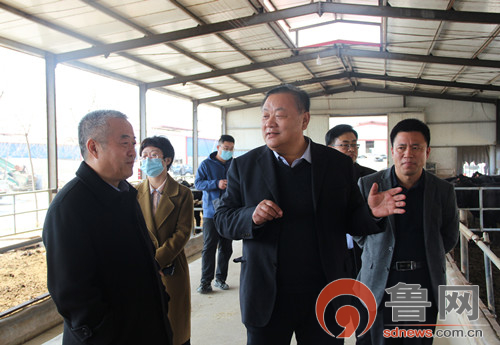 阳信数字化牧场亿利源,阳信亿利源规模