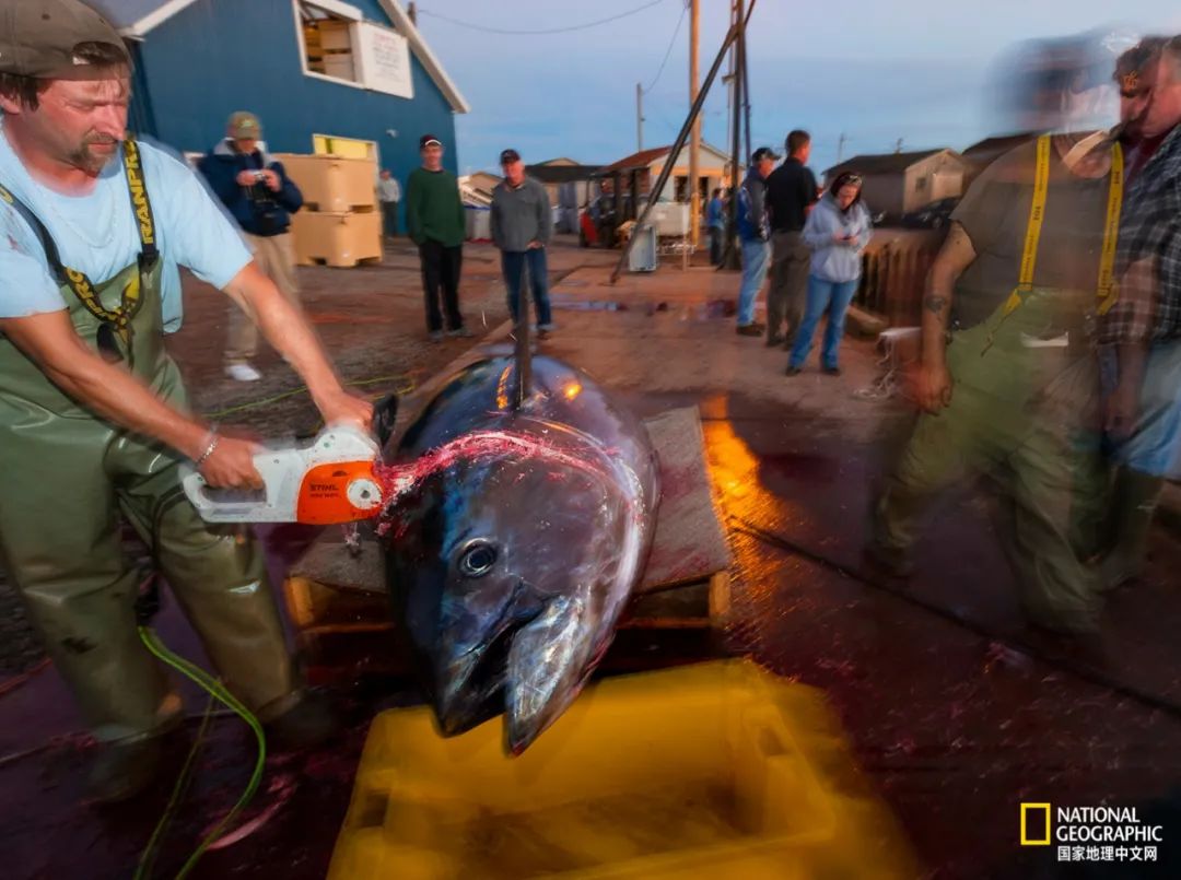 娴疯睔鏈夊瀹夊叏,娴疯睔鍓嶉儴闃叉挒鎻愮ず