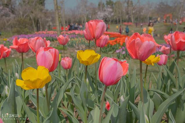绘画我和春天有个约会,亲子绘画我和春天有个约会