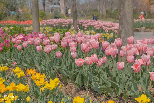 绘画我和春天有个约会,亲子绘画我和春天有个约会