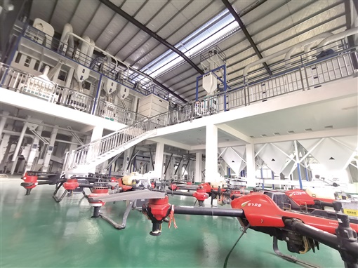 资阳暑假幼托班,资阳哪里有田往外承包