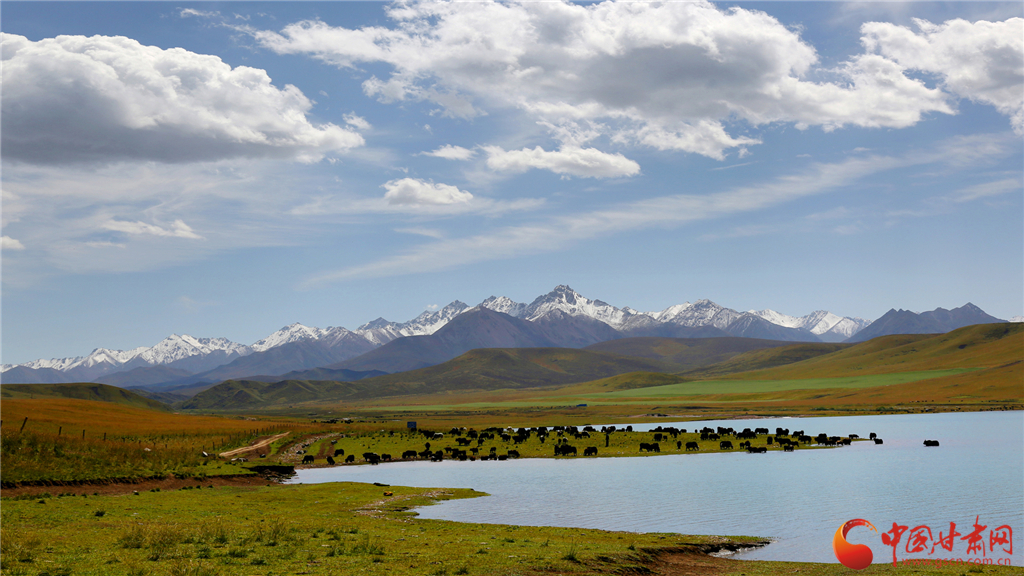 甘肃和政文旅融合共创5a级景区,甘肃文旅环西部游