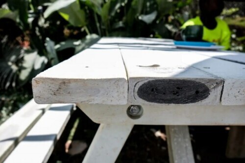 什么是快乐星球歌名,什么是快乐星球音乐