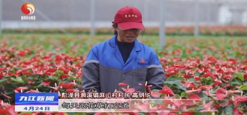 彭泽：发展园艺经济增加致富花样