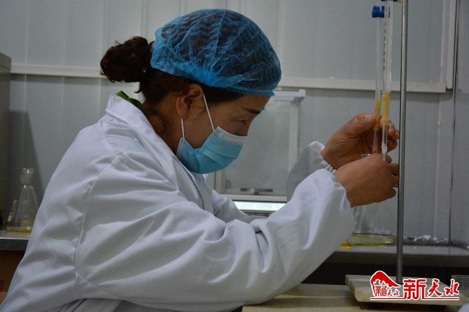 滴滴醇香油为农民致富搭“金桥”