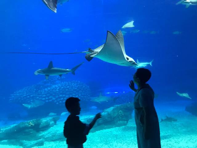 五一打卡珠海，雨神与我们同在