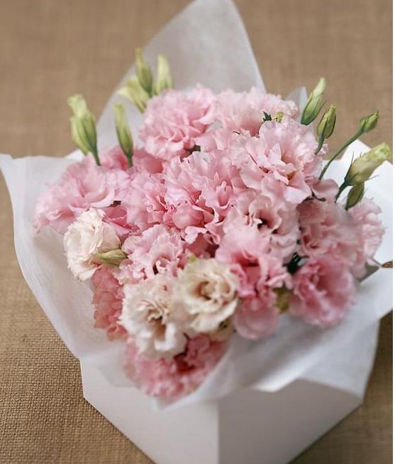 康乃馨送给妈妈送几朵,康乃馨送给母亲的祝福