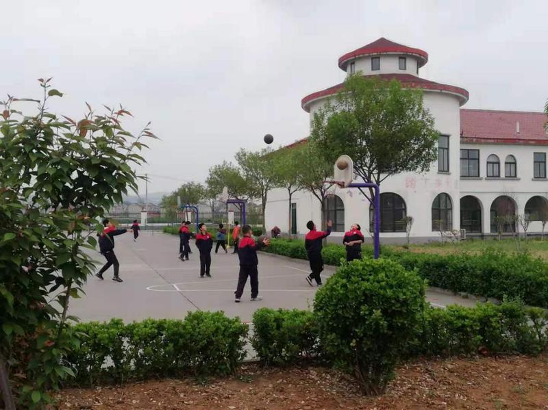 打造中国最美乡村,打造最美乡镇