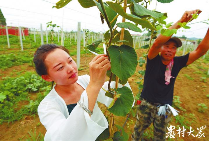 荒地变农场200亩,闲置荒地变良田乡村振兴添活力