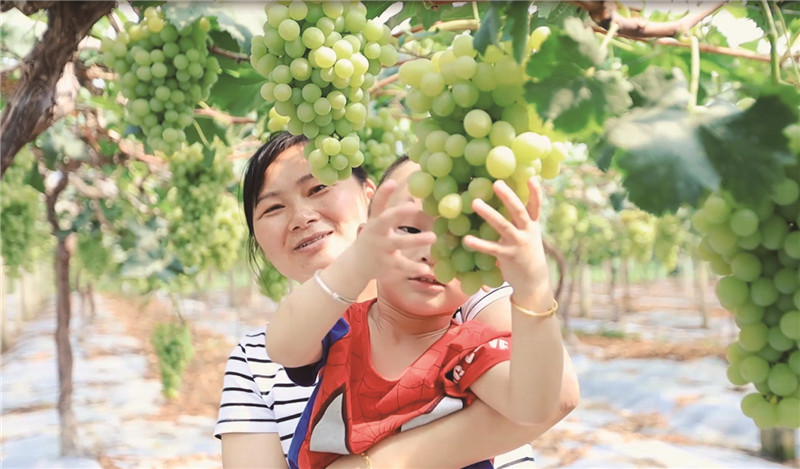 盐城跑马拉松第一名,盐城马拉松对盐城市有好处吗